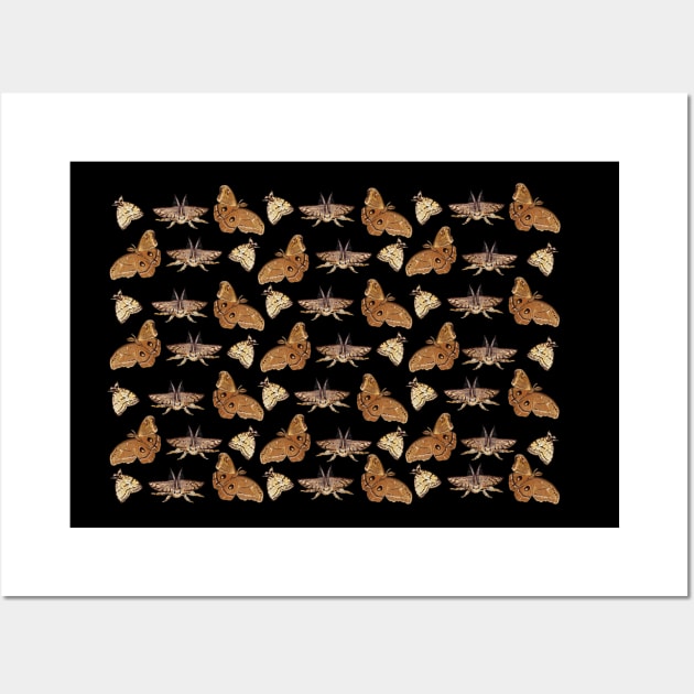 Moths - Night Butterflies Wall Art by Julia Doria Illustration